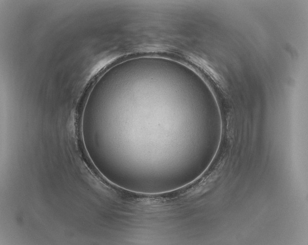 X0000116481404200912091350