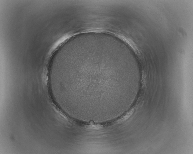 X0000116481406200912091350