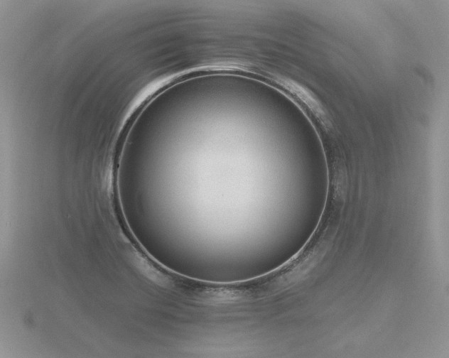 X0000116481420200912091351