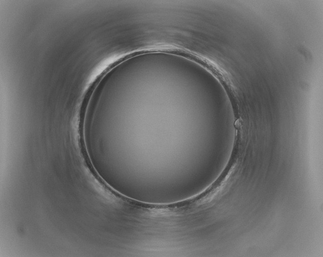 X0000116481422200912091351