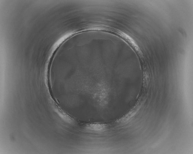 X0000116481427200912091351