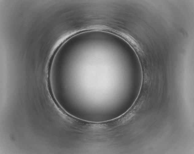 X0000116481430200912091351