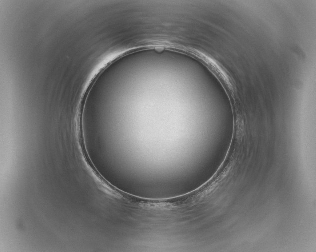 X0000116481432200912091351