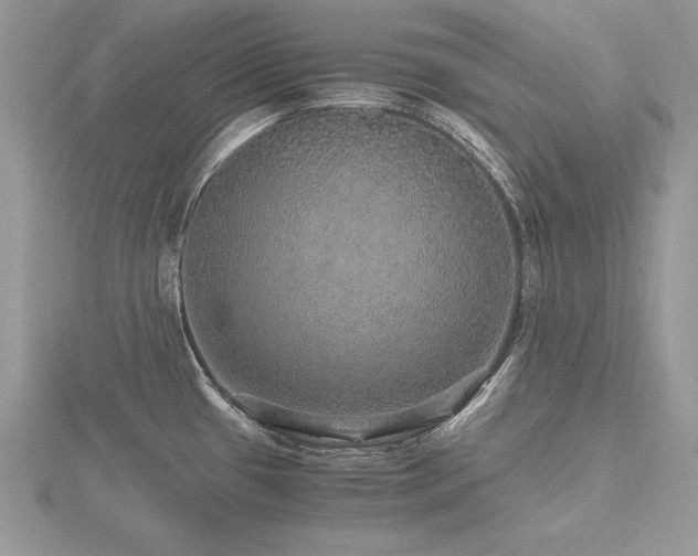 X0000116481433200912091351