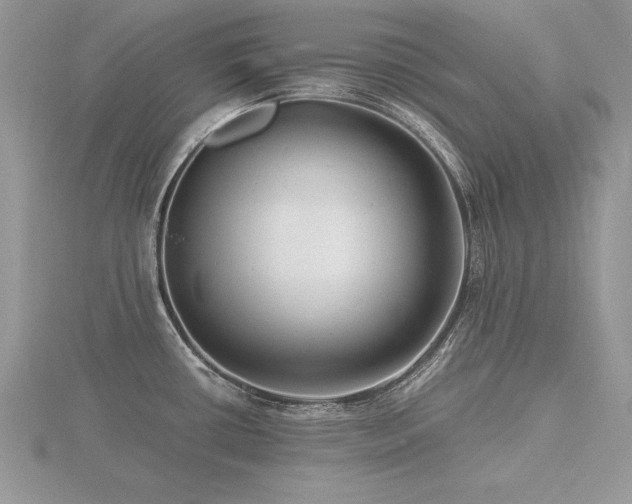 X0000116481434200912091351