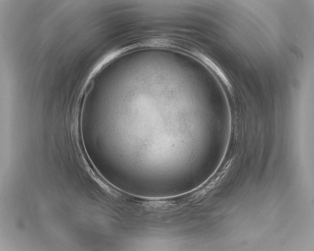 X0000116481437200912091351
