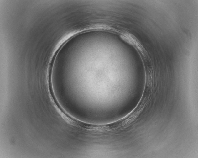 X0000116481438200912091351