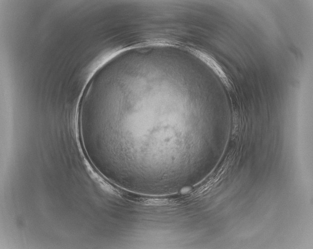X0000116481439200912091351