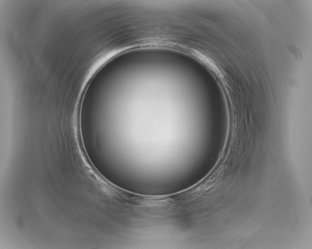X0000116481440200912091351