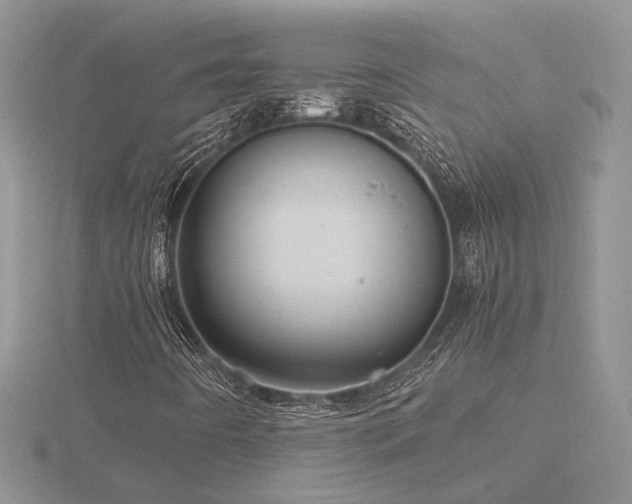 X0000116481442200912091350