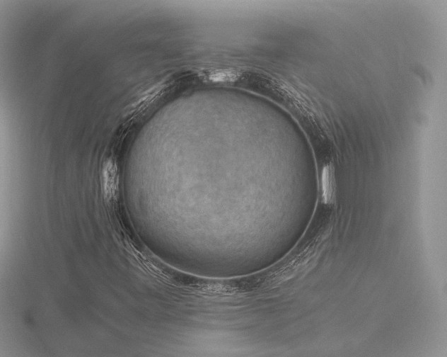X0000116481443200912091350