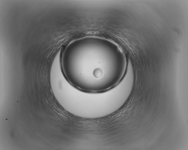 X0000116481444200912091350