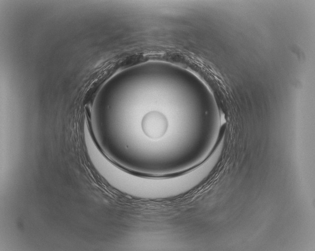 X0000116481445200912091350