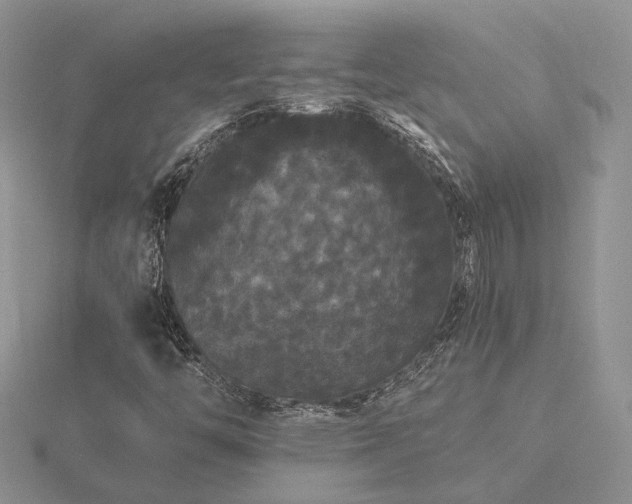 X0000116481446200912091350