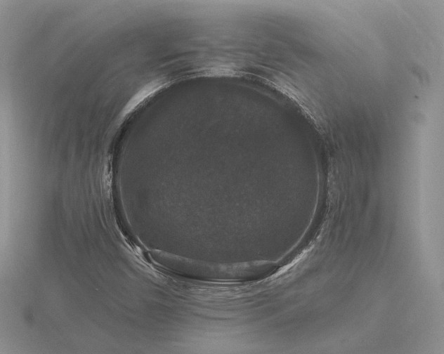 X0000116481450200912091350