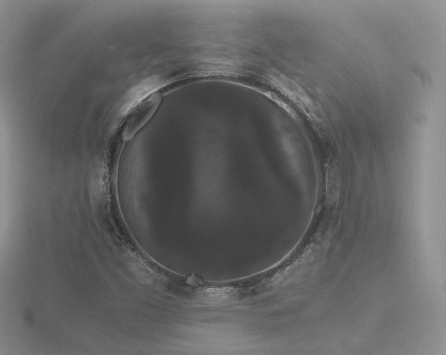 X0000116481453200912091350