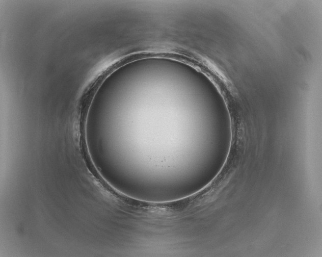 X0000116481456200912091350