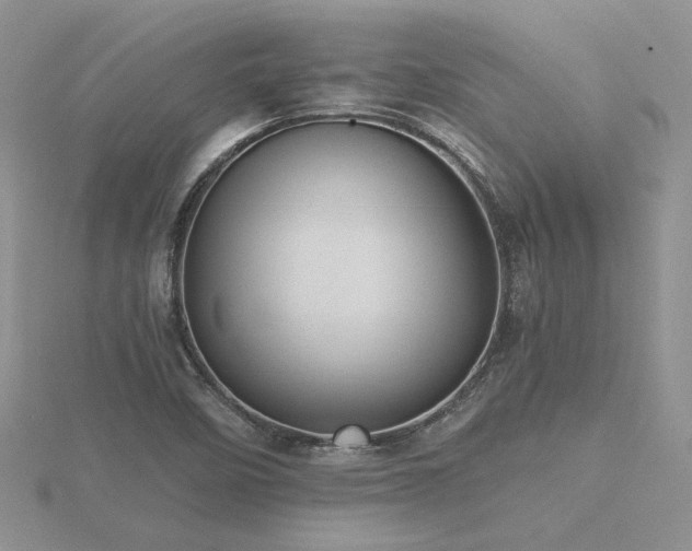 X0000116481458200912091350
