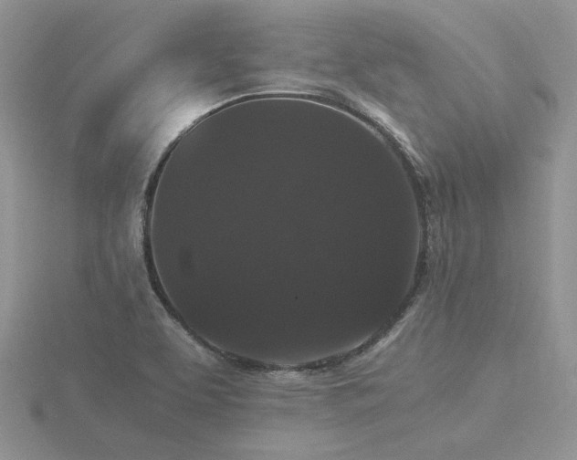 X0000116481463200912091350