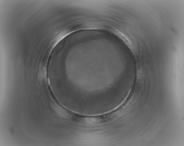 X0000116481465200912091350