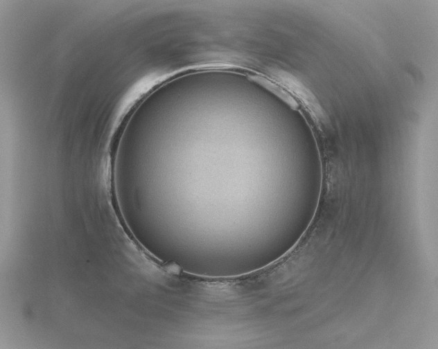 X0000116481472200912091350