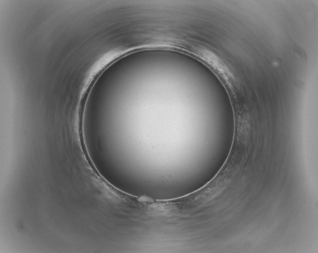 X0000116481480200912091350