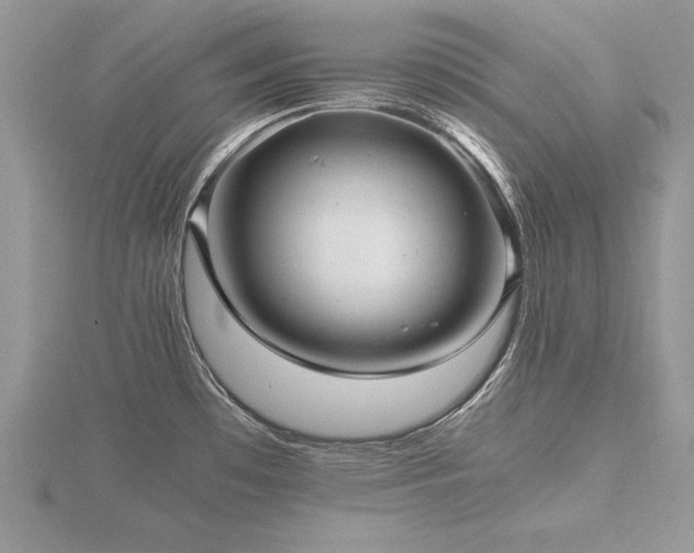 X0000116481481200912091350