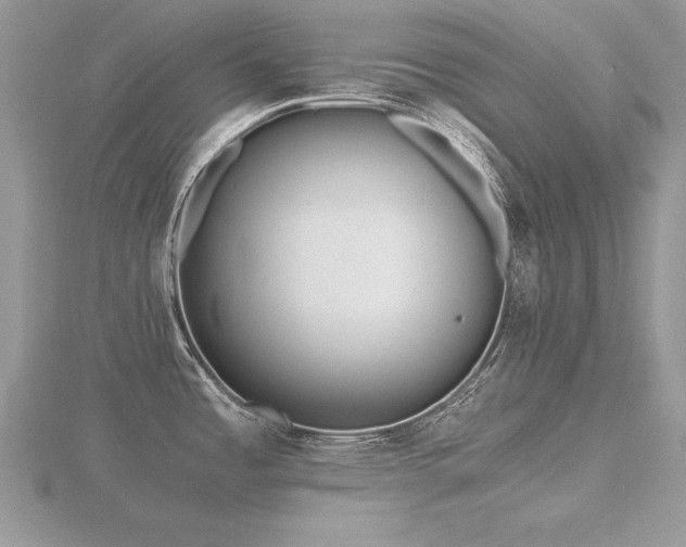 X0000116481485200912091350