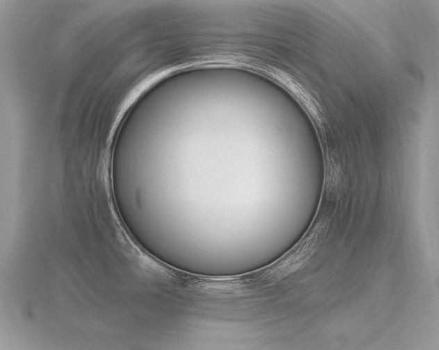 X0000116481486200912091350