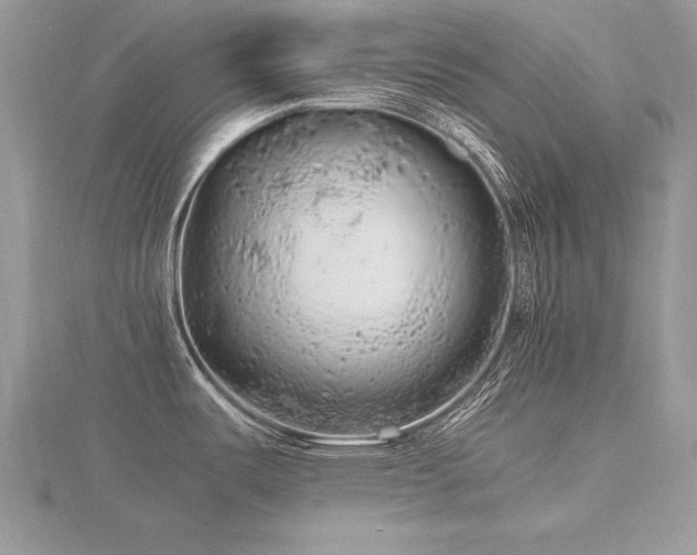 X0000116481487200912091350