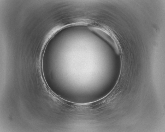 X0000116481488200912091350