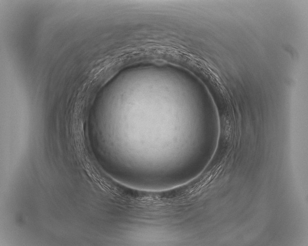 X0000116481489200912091349