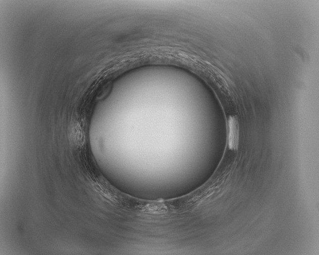 X0000116481491200912091349