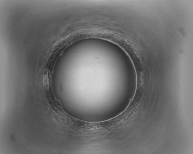 X0000116481493200912091349