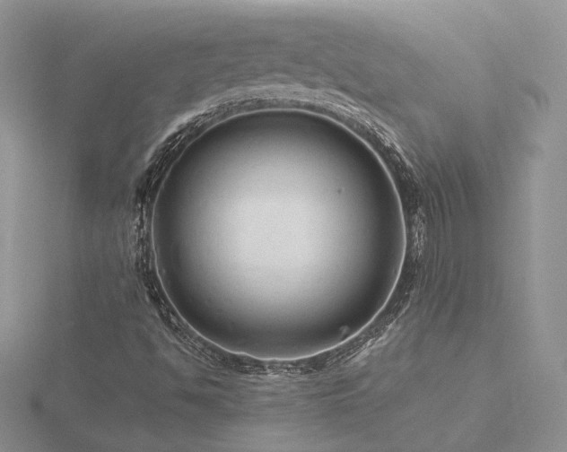 X0000116481494200912091349