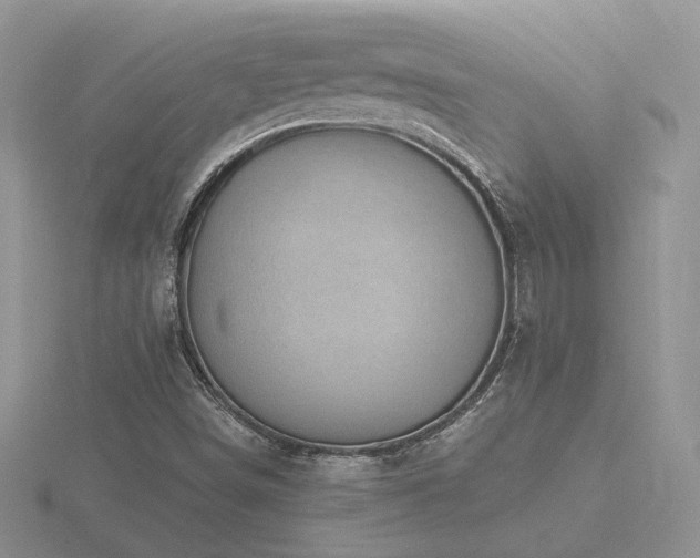 X0000116481498200912091349