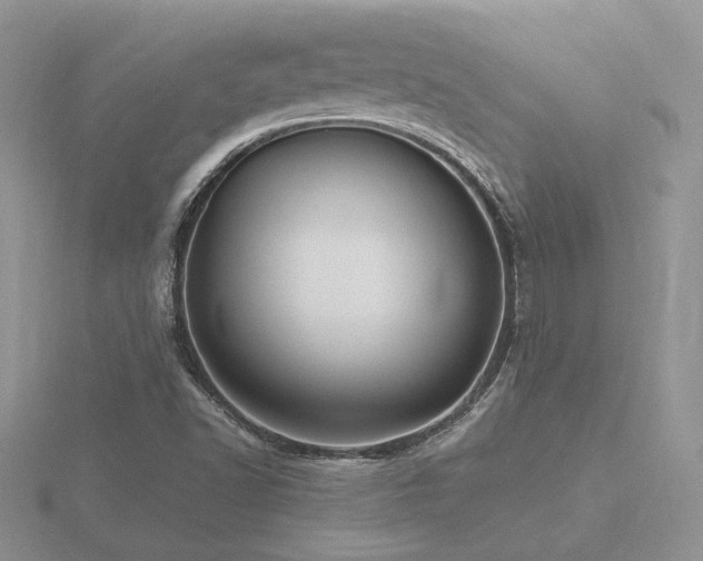 X0000116481502200912091349