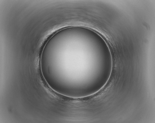X0000116481507200912091349