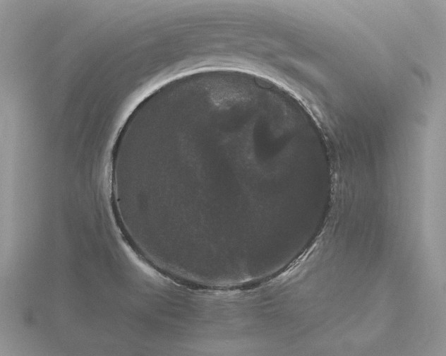 X0000116481519200912091349