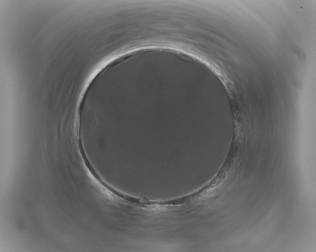 X0000116481527200912091349