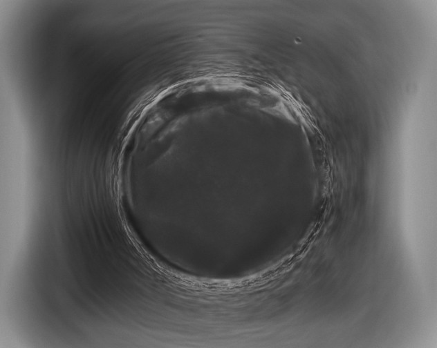 X0000116480002200912161301