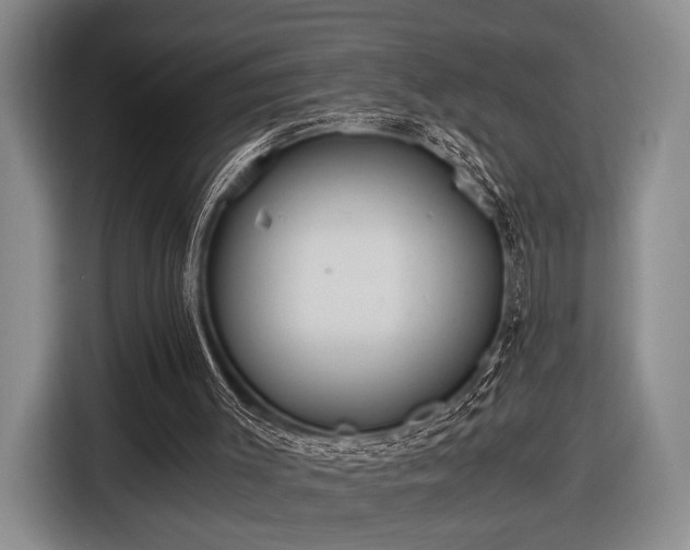 X0000116480003200912161301