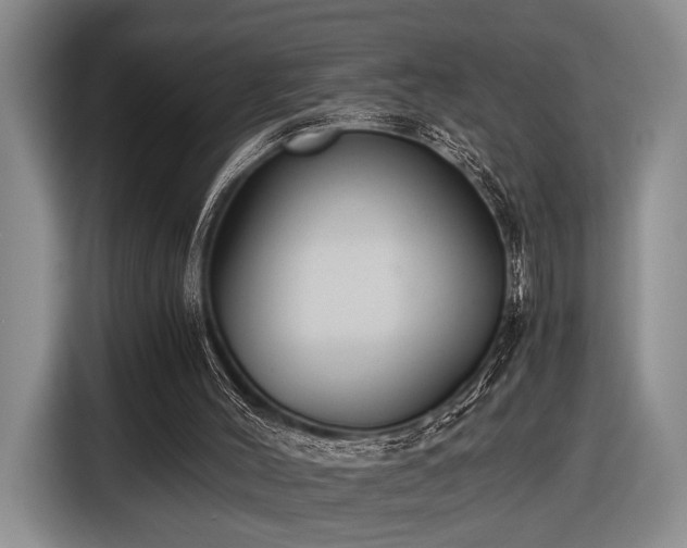 X0000116480004200912161301