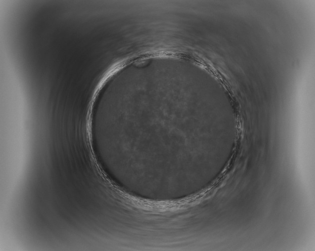 X0000116480006200912161301