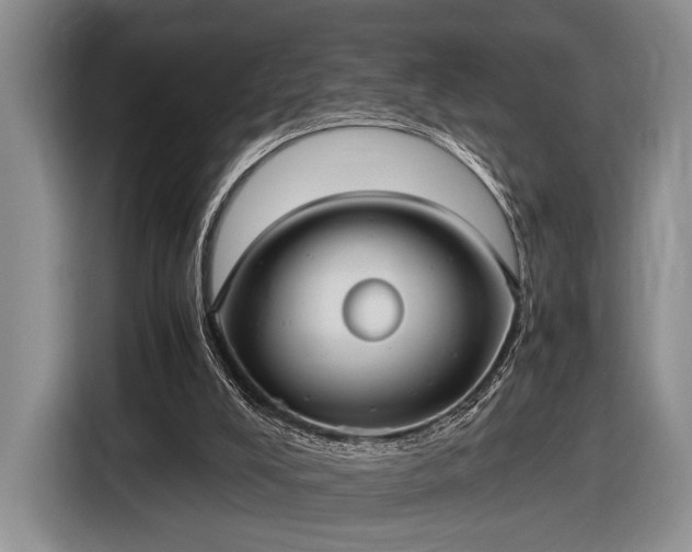 X0000116480008200912161301