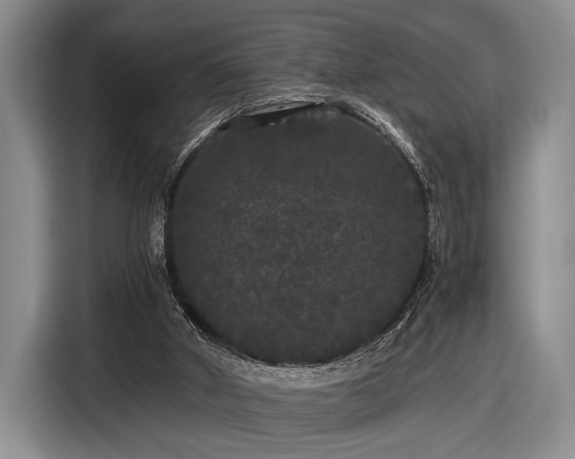 X0000116480010200912161301