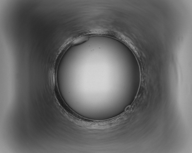 X0000116480011200912161301