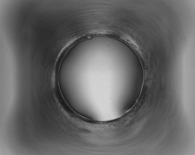 X0000116480012200912161301