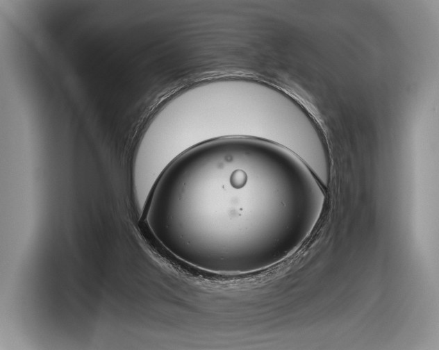 X0000116480013200912161301