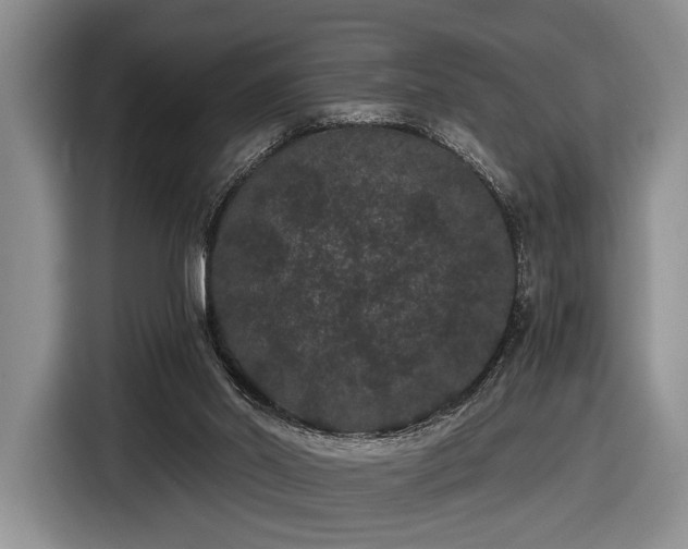 X0000116480014200912161301